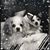 Claire Doordan's profile image