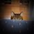 Deanna Daubs's profile image