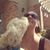 Kat McCann Carney's profile image