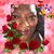 Elleen Burpo's profile image