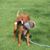 Cari Reuman's profile image