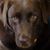 Barbara Larry Schmidt's profile image