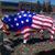 Bev McAlister's profile image