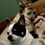 Cindy Taylor Dietrick's profile image