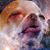 Nicholas Gray's profile image