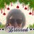 Zahzah Rillon's profile image