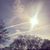 Chrissy Onyinyechi Bal's profile image