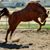 Sherri Bacon's profile image