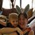 Lisa Guetter's profile image