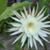 Cheryl Sevin's profile image