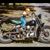 Joe Engelman's profile image