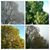 Paula Welton's profile image