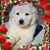Cindy Simon's profile image