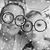 Connie Widman's profile image