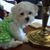 Linda Austin Diviak's profile image