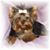Patty Bunch's profile image