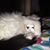 Nancy Munie's profile image