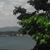 Sherri Cornett's profile image