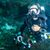 Didier B. Follain-Grisell's profile image