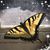 Barbara Hohenstein's profile image