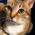 Lauren Fincham's profile image