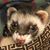 Brian Blackburn's profile image