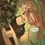 Joseph Wayne's profile image