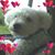 Lisa Cyh's profile image