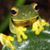 Ruthann Bickerstaff Eliason's profile image