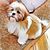 Mary Probst Garcia's profile image