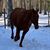 Kathryn Elizabeth's profile image
