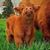 Lora Rodda's profile image