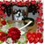 Kristin Sappenfield's profile image