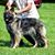 Doreen Danyo's profile image