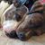 Christine Elaine's profile image