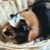 MaryEileen Rufkahr's profile image