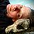 Jennifer Rider's profile image