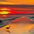 Gail Mclaughlin's profile image