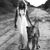 Teri Ward's profile image