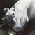 Amanda Butler's profile image