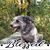 Jim Grass's profile image