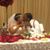 Terrance Perkins's profile image