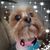 Terri Griffith's profile image
