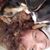Lynn Buncher Shelly's profile image