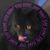 Sammy Daise Kneller's profile image