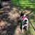 Kimberly Webb's profile image
