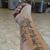 Ivy Louise Wynter's profile image