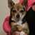Carol Kirby Williams's profile image