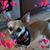 Teresa Roiz's profile image