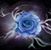 Karen Warner Lecesse's profile image